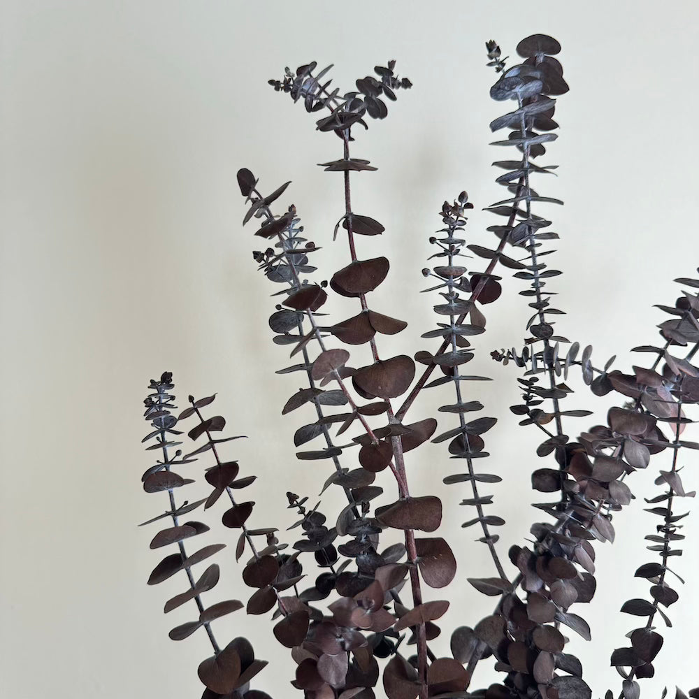 Botte Eucalyptus Baby Bordeaux