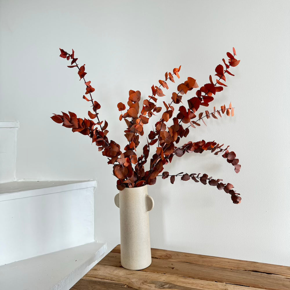 Botte Eucalyptus Stuartiana Orange
