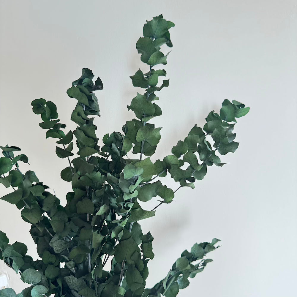 Boot Eucalyptus Stuartiana Green