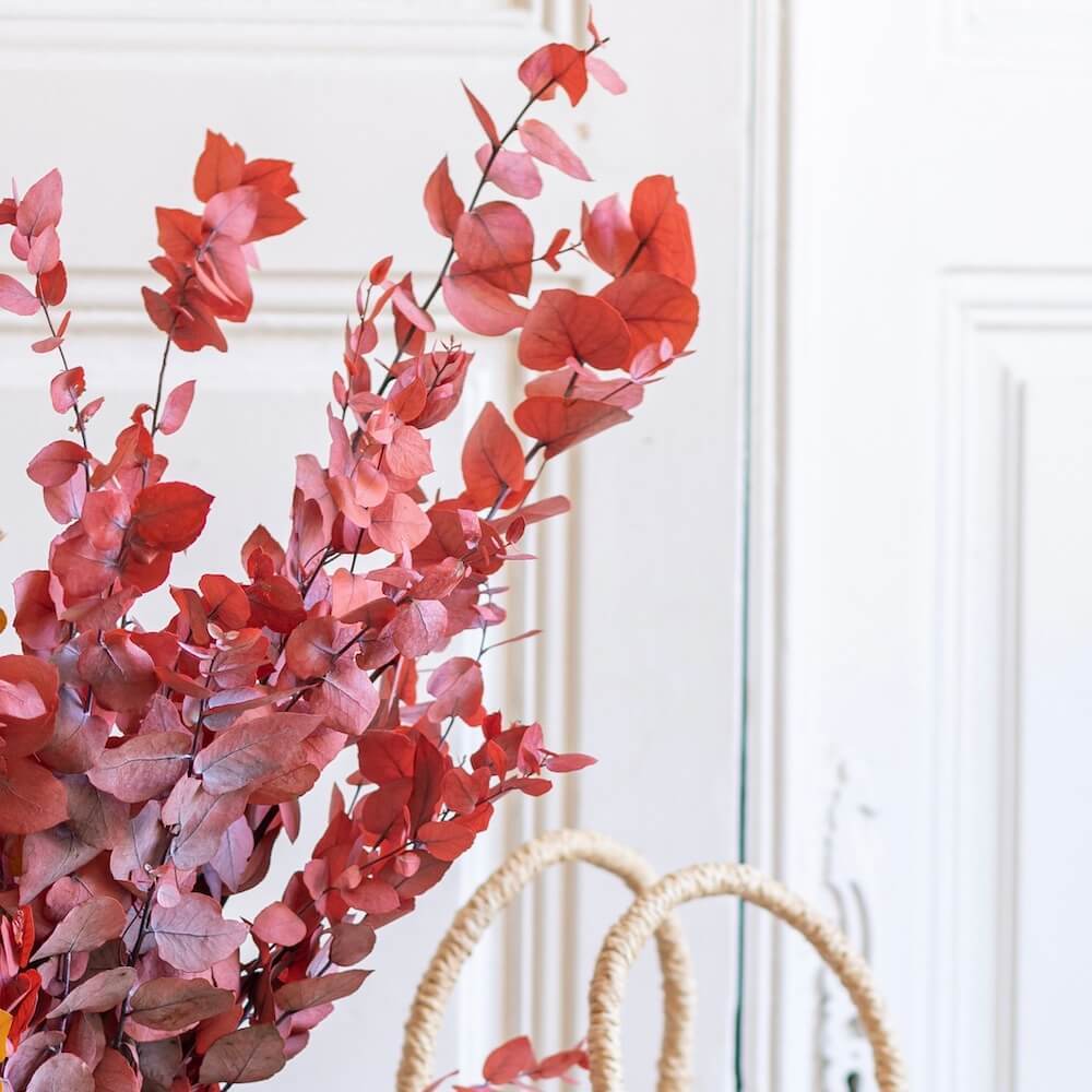 Botte eucalyptus stuartiana rouge stabilisé