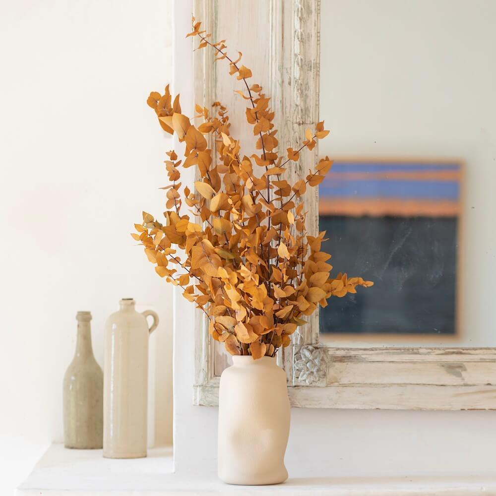 Botte eucalyptus stuartiana jaune stabilisé