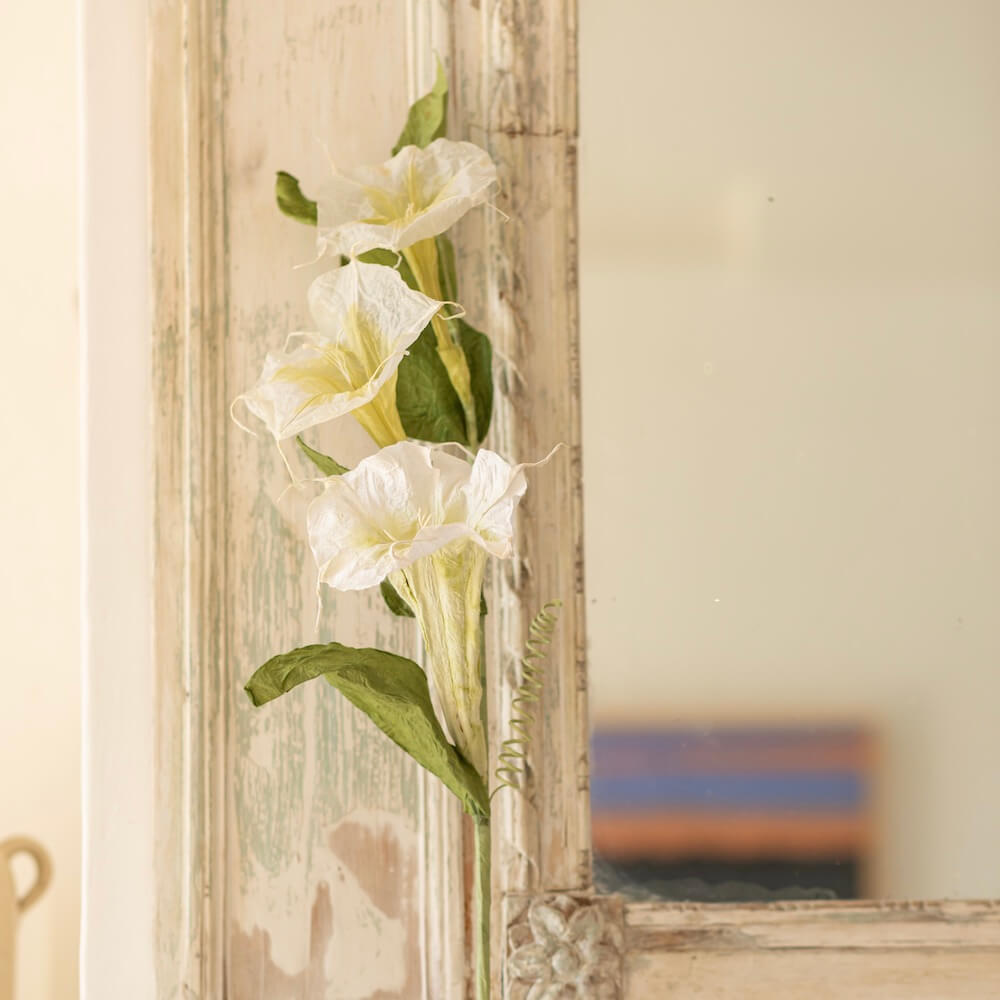 fleur-papier-flowrette-morgning-glory-fleur