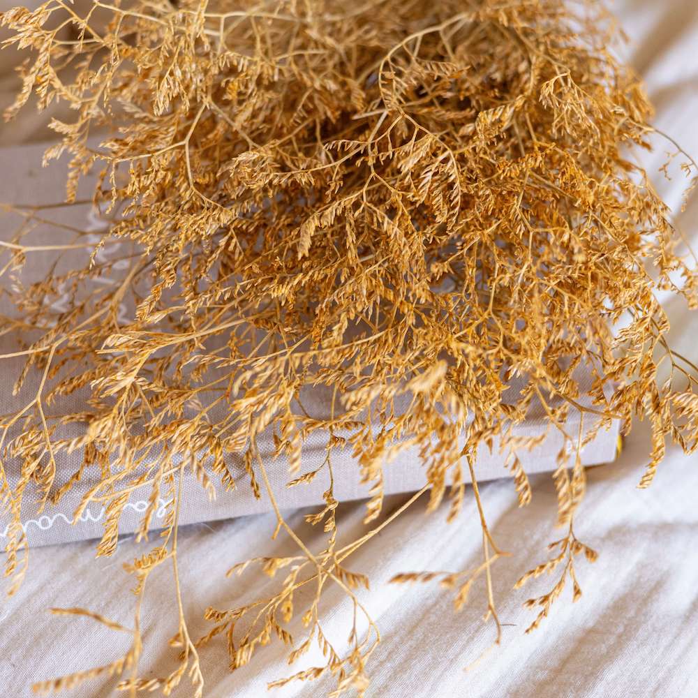 botte-limonium-jaune