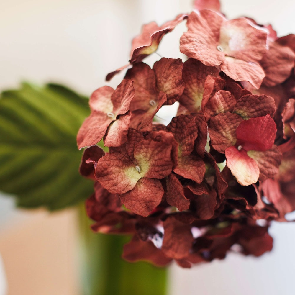 Grand hortensia en papier prune
