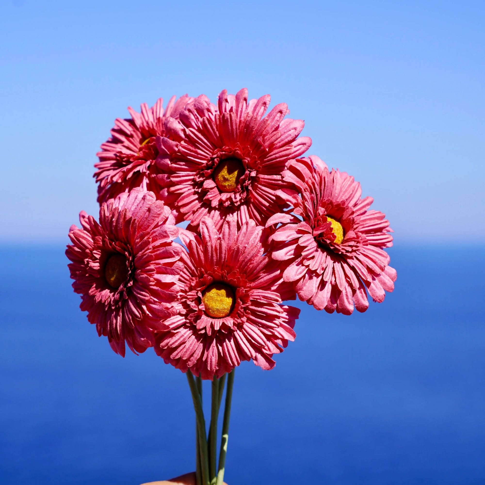 fleurs-en-papier-flowrette-gerbera
