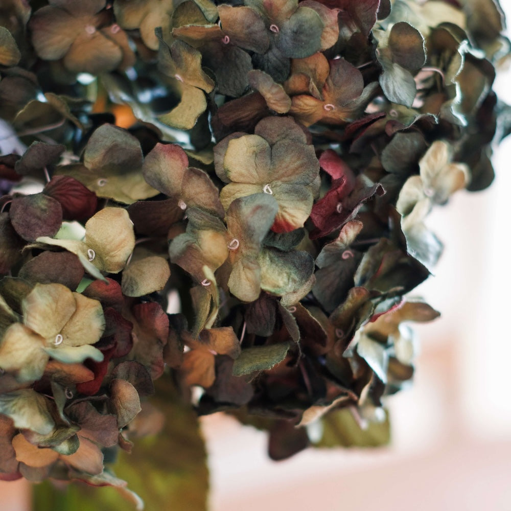hortensia-en-papier
