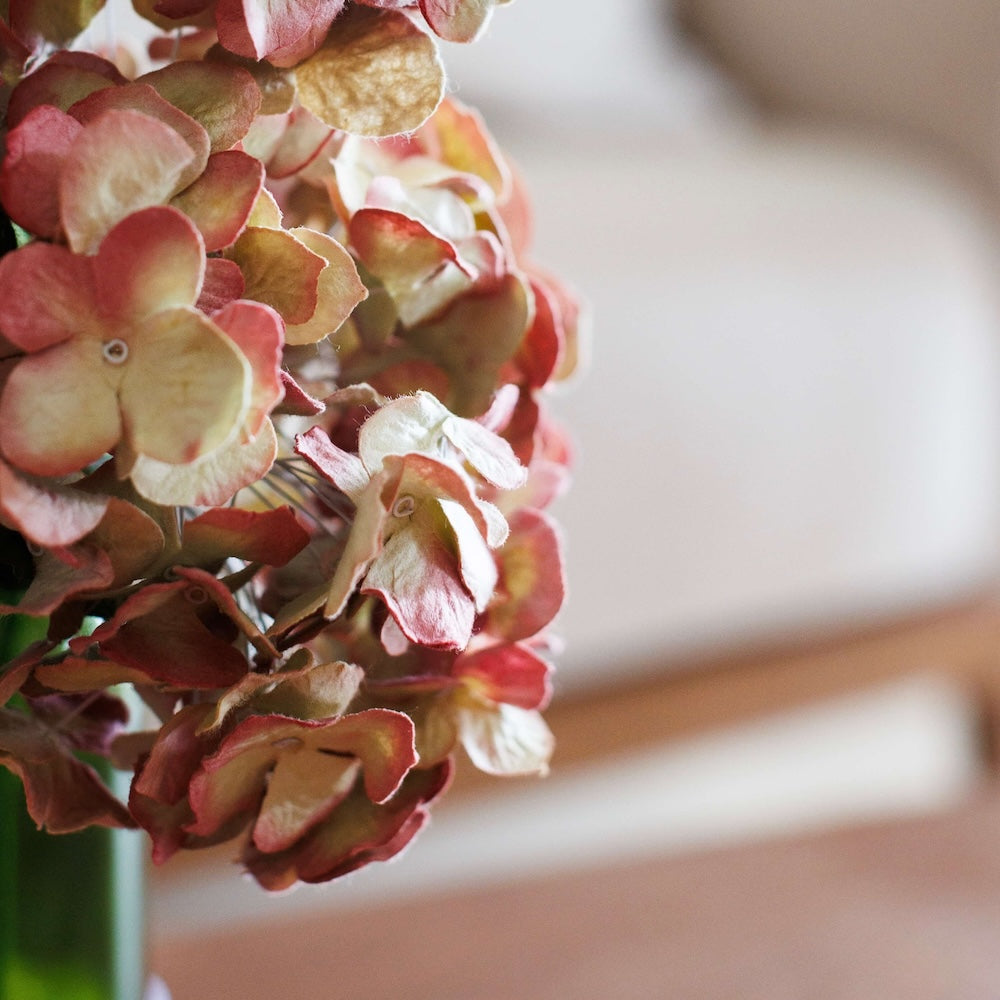 hortensia-en-papier