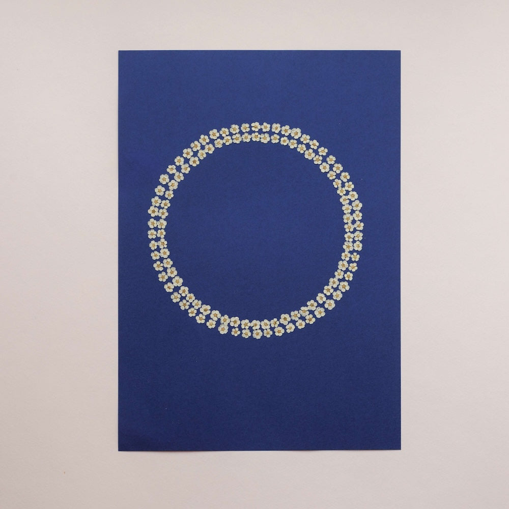 herbier-bleu