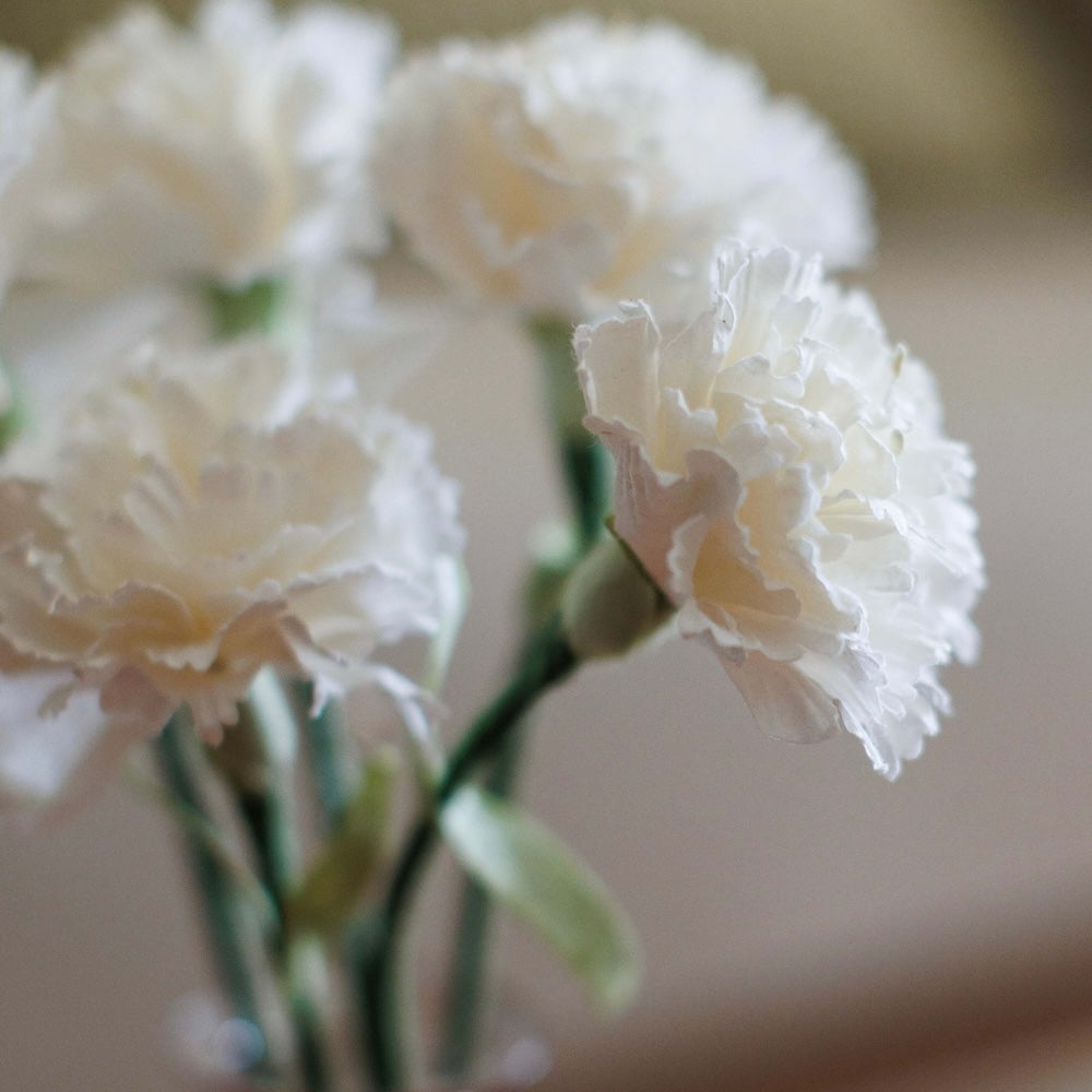 fleurs-en-papier