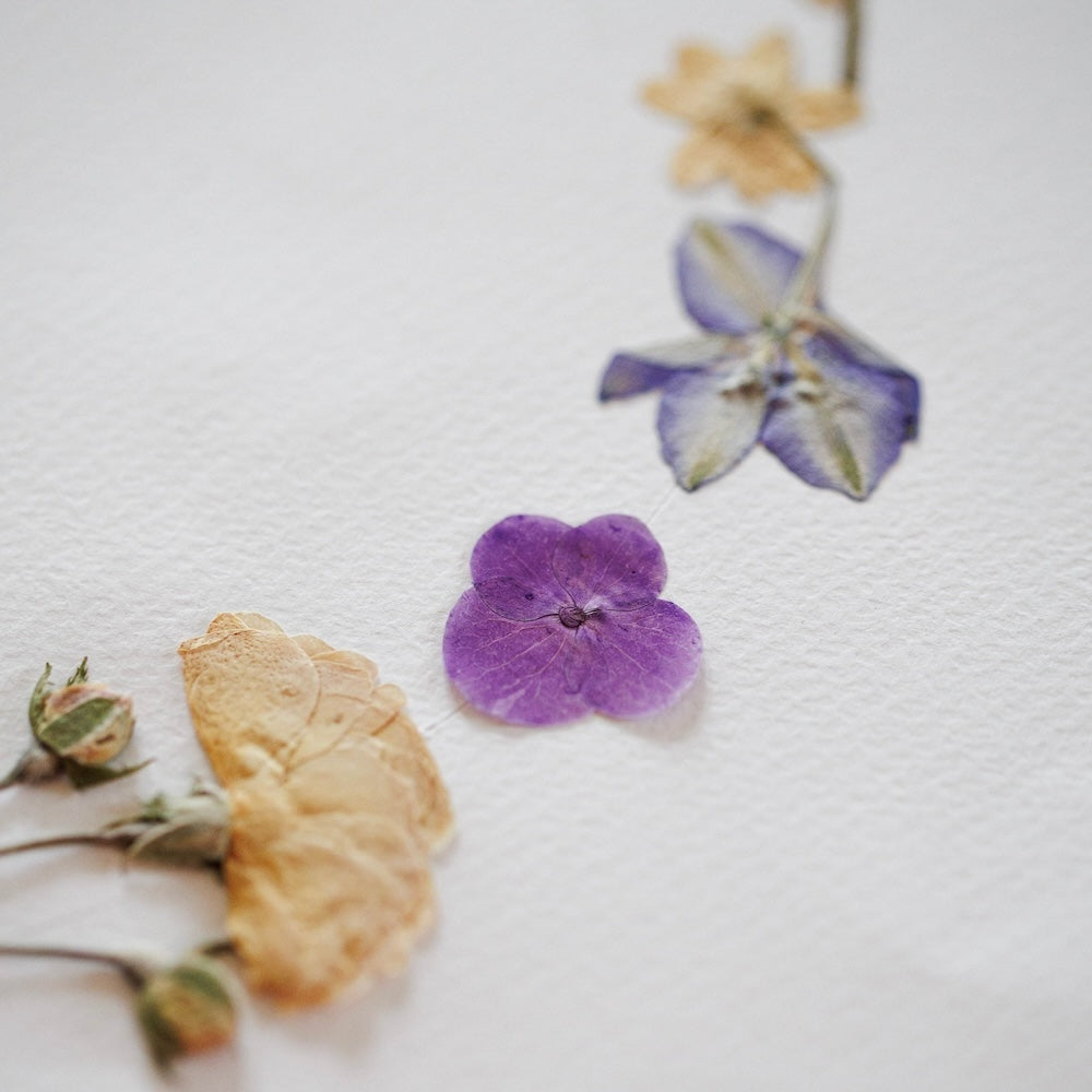 herbier-fleuri