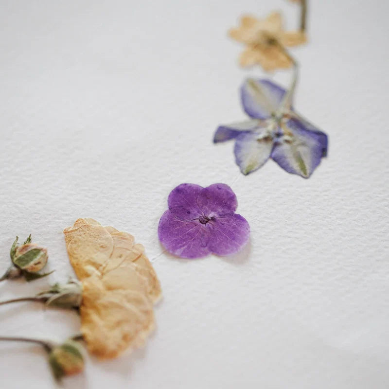 Herbier Ronde Printanière A4