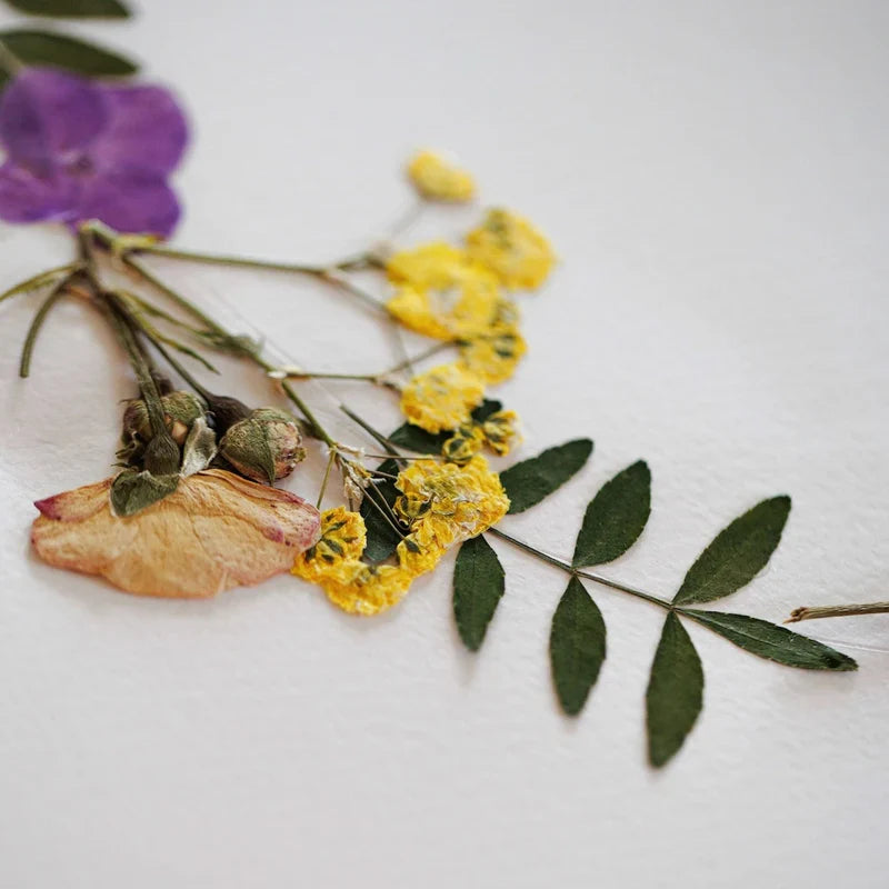 Herbier Ronde Printanière A4