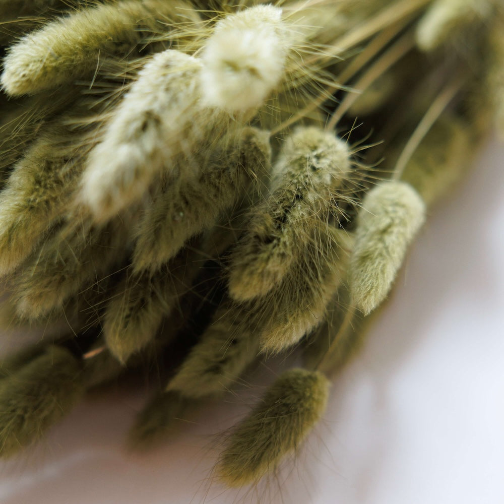 Botte Lagurus Vert olive