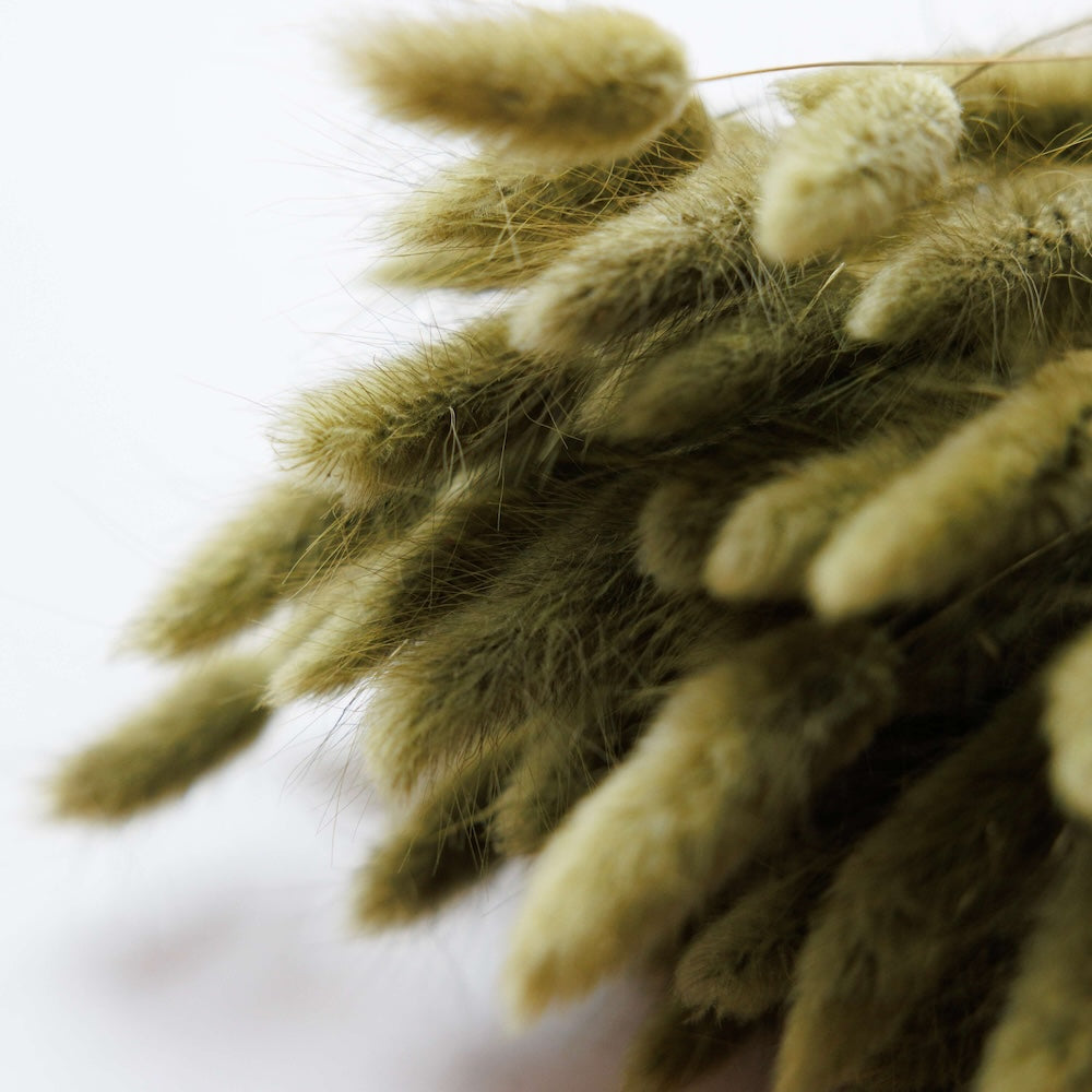 Botte Lagurus Vert olive