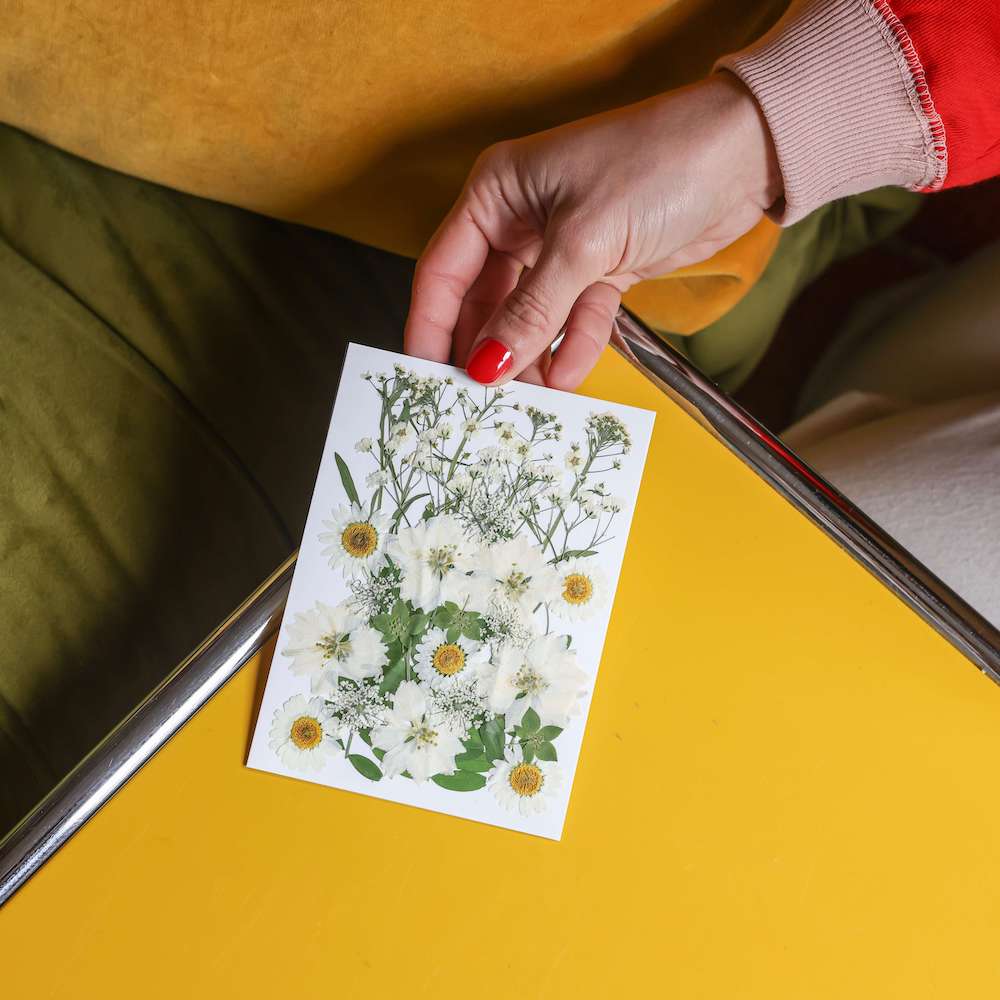 flowrette-fleurs-pressee-vert-blanc