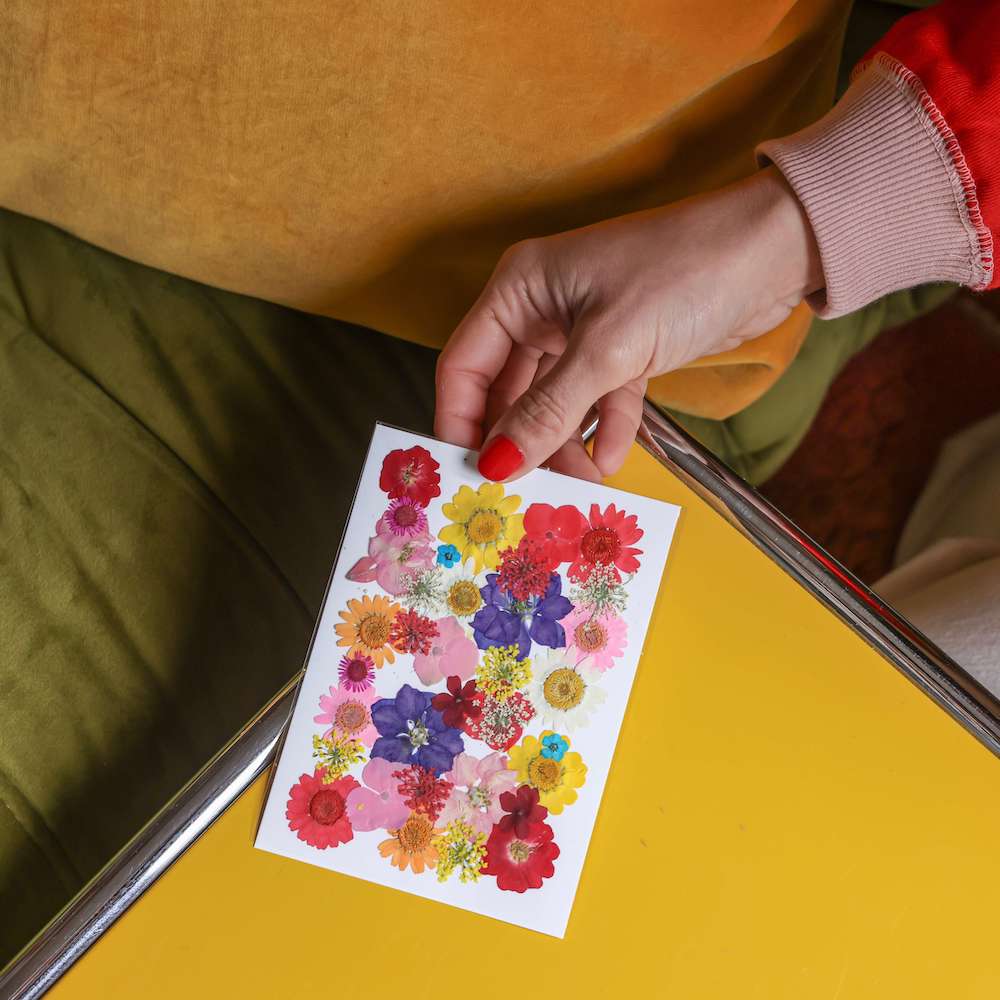 flowrette-fleurs-pressee-multicolore