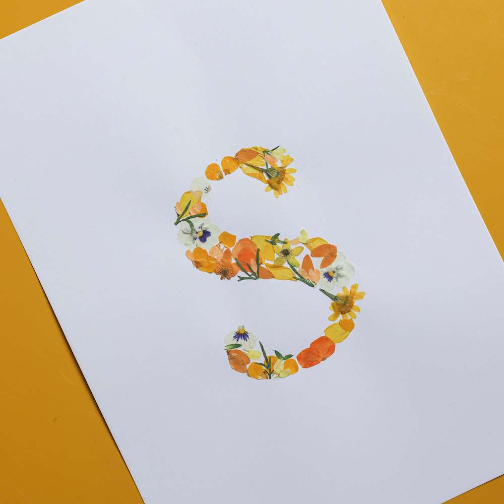 flowrette-fleurs-pressee-herbier-diy