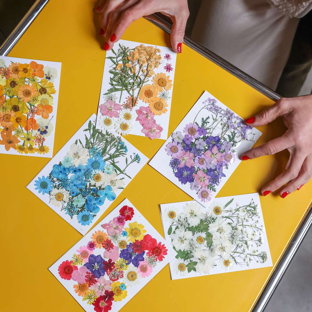 flowrette-fleurs-pressee-multicolore