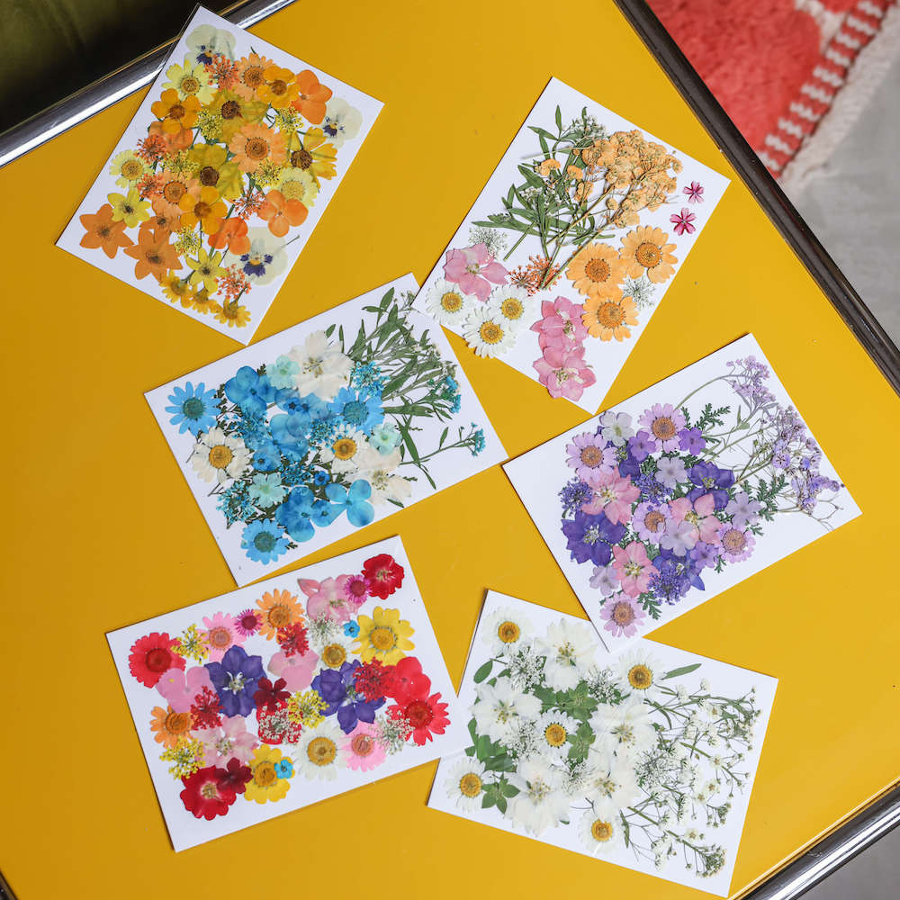 flowrette-fleurs-pressee-multicolore