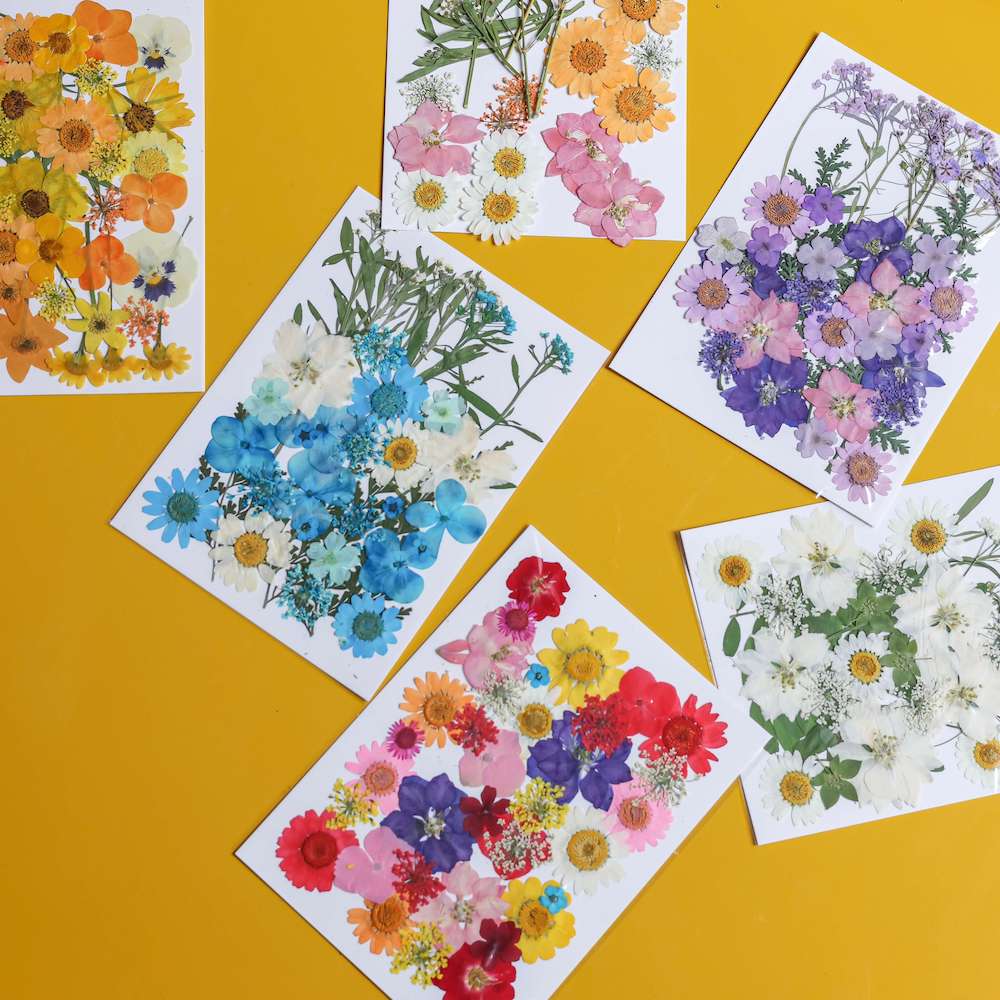 flowrette-fleurs-pressee-multicolore
