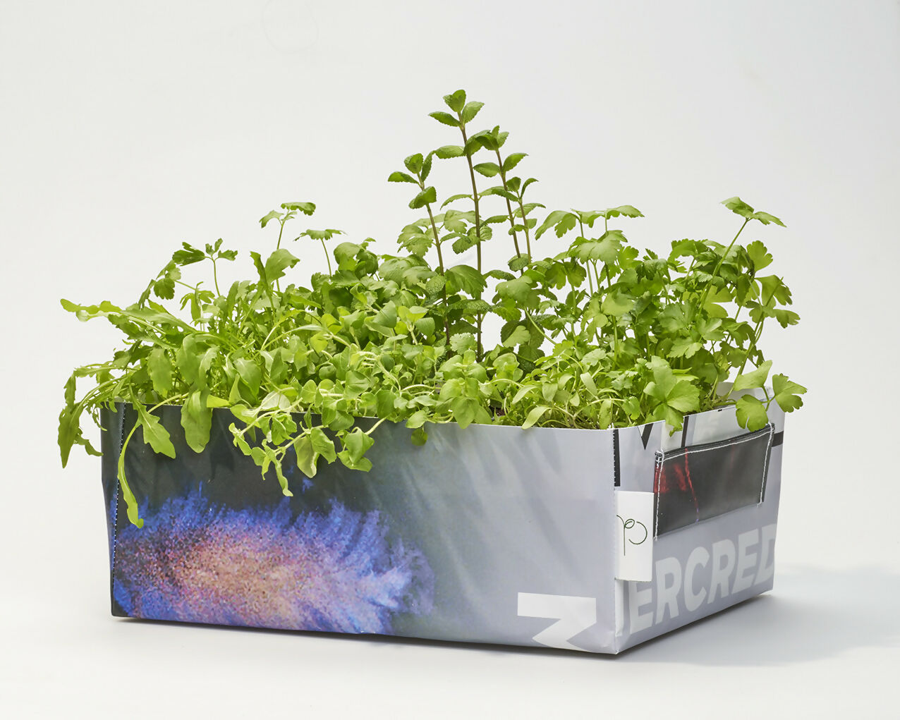 Kit potager mobile avec Mélange Laitues, Cresson, Basilic, Persil, Blettes multicolores, Roquette