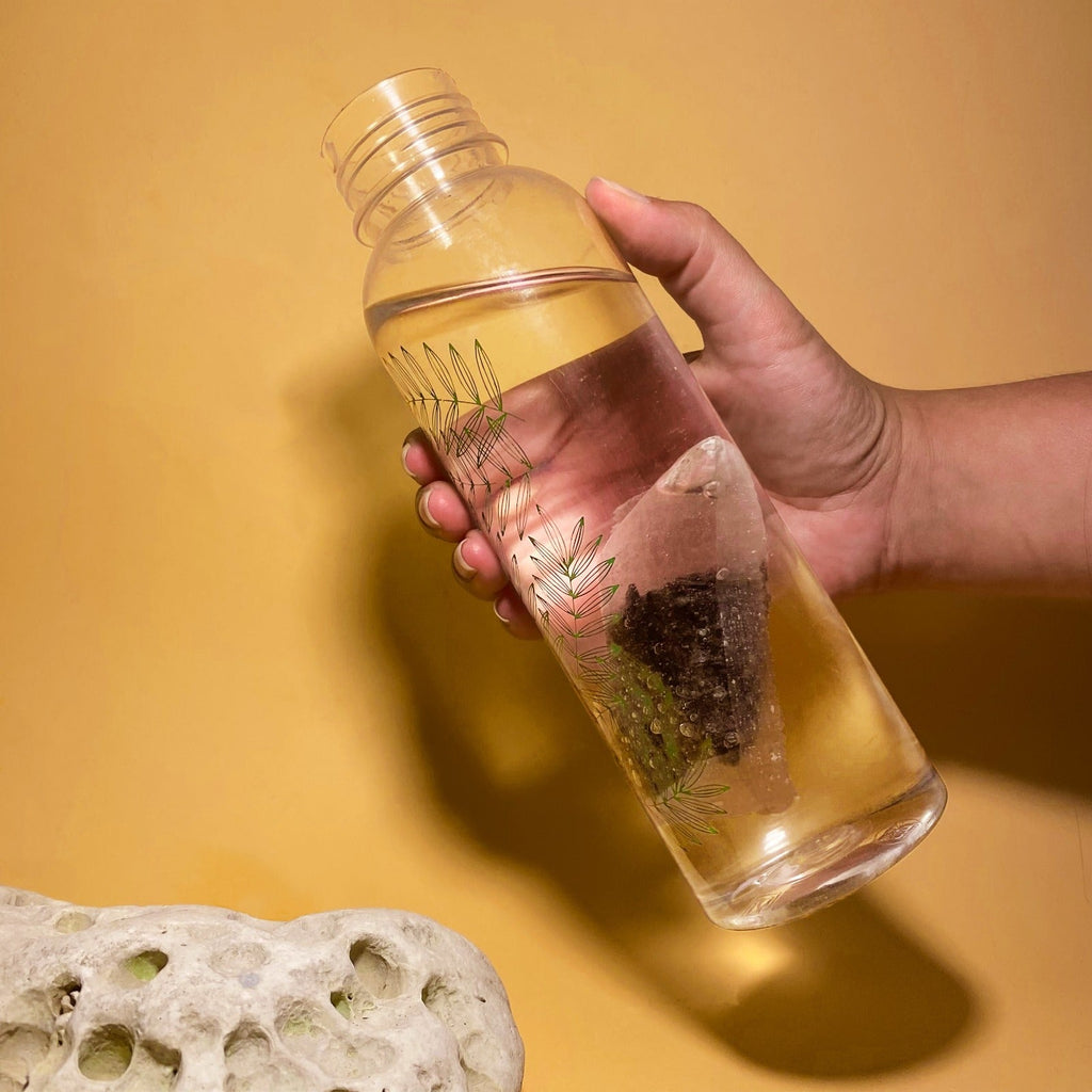 Lot de 2 filtres à gourde nomades au charbon végétal actif