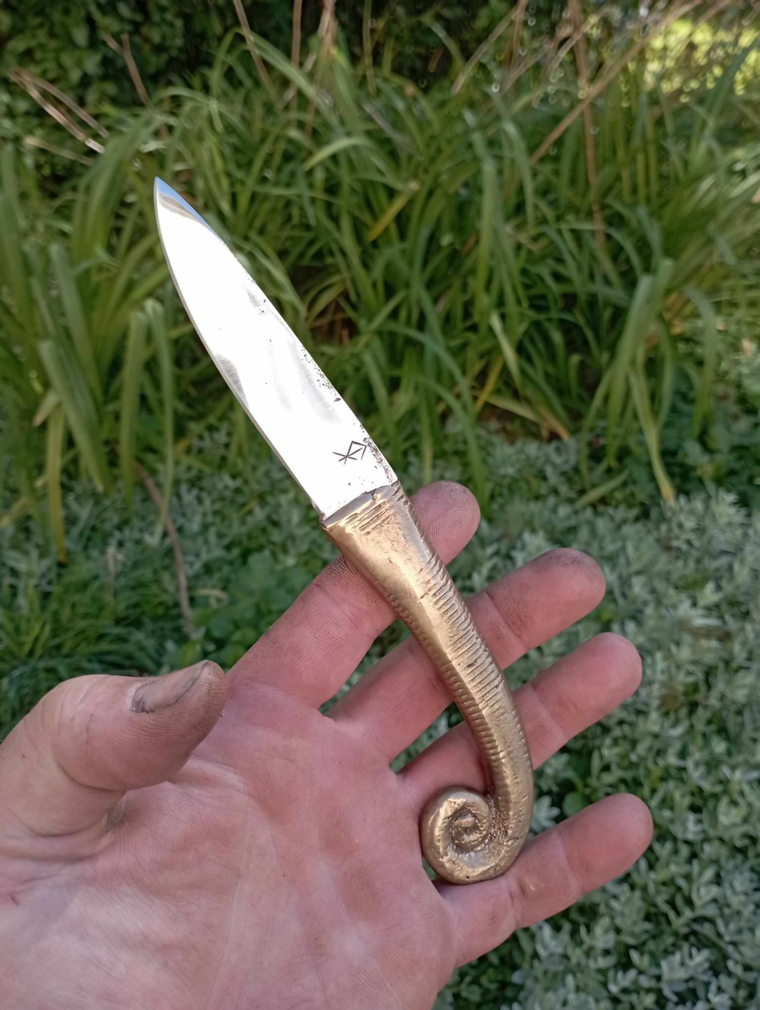 couteau ammonite