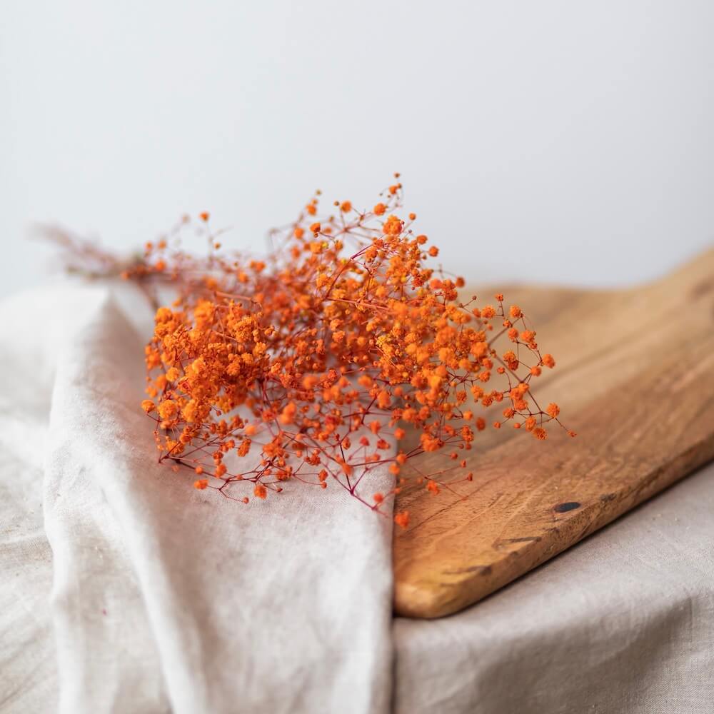 botte-fleurs-sechees-gypsophile-orange-flowrette
