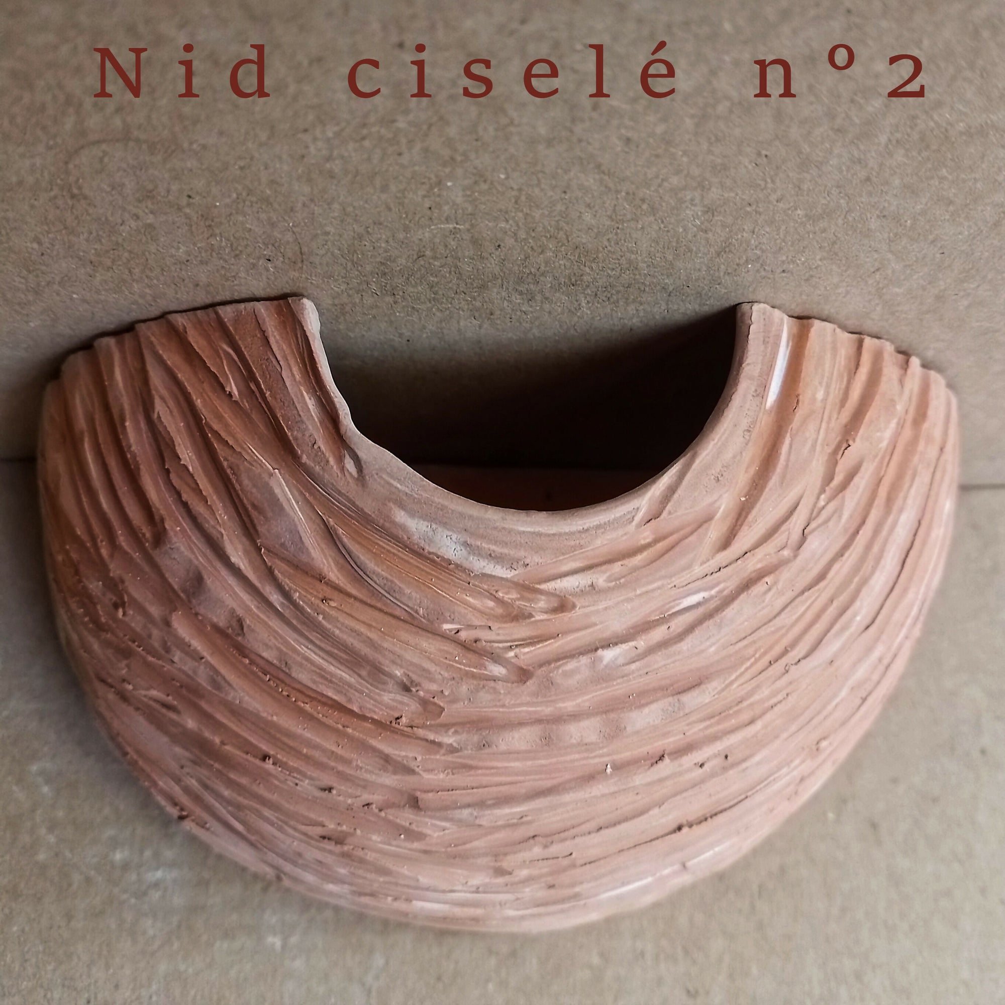 Nid ciselé n°2 ph