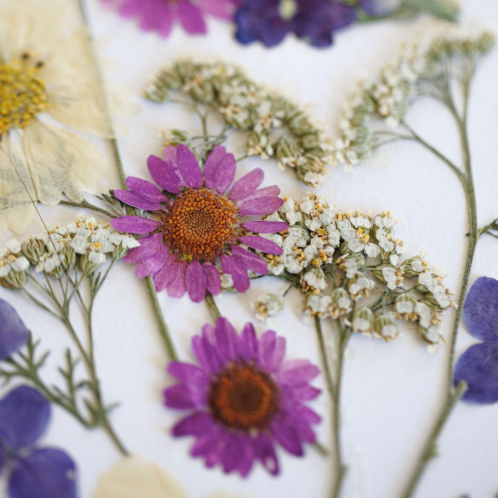 herbier-flowrette