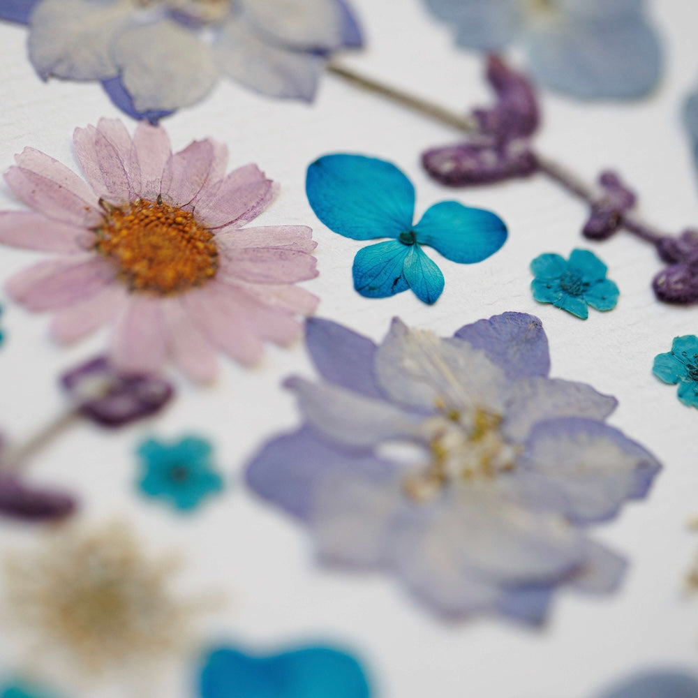 herbier-fait-main-fleurs-bleues-roses