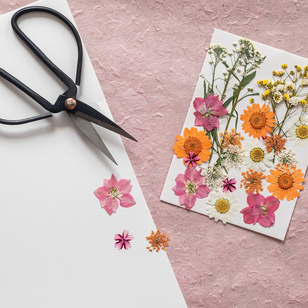 kit-diy-herbier-lettre