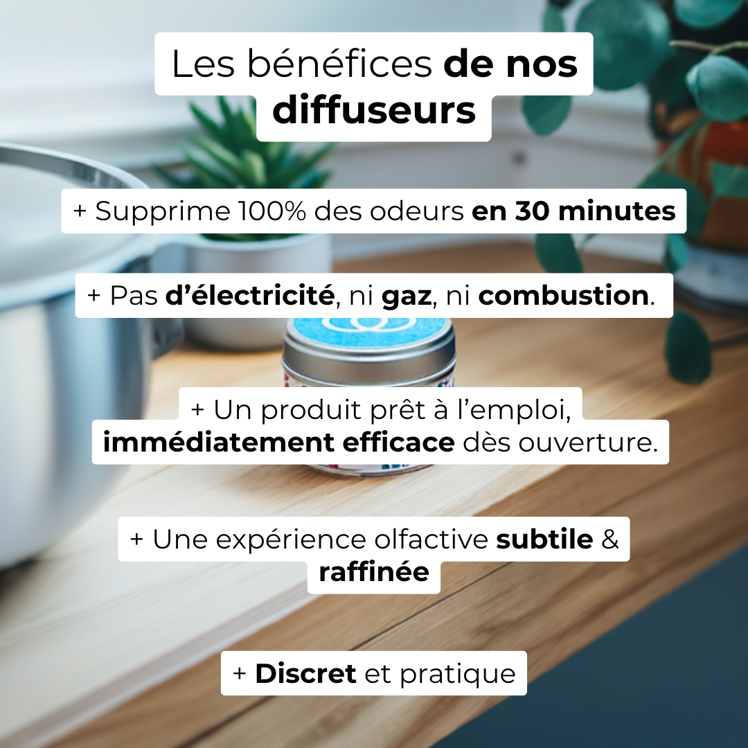 destructeur odeur - absorbeur odeur - absorbeur d'odeur puissant - diffuseur odeur - parfum maison - désodorisant naturel