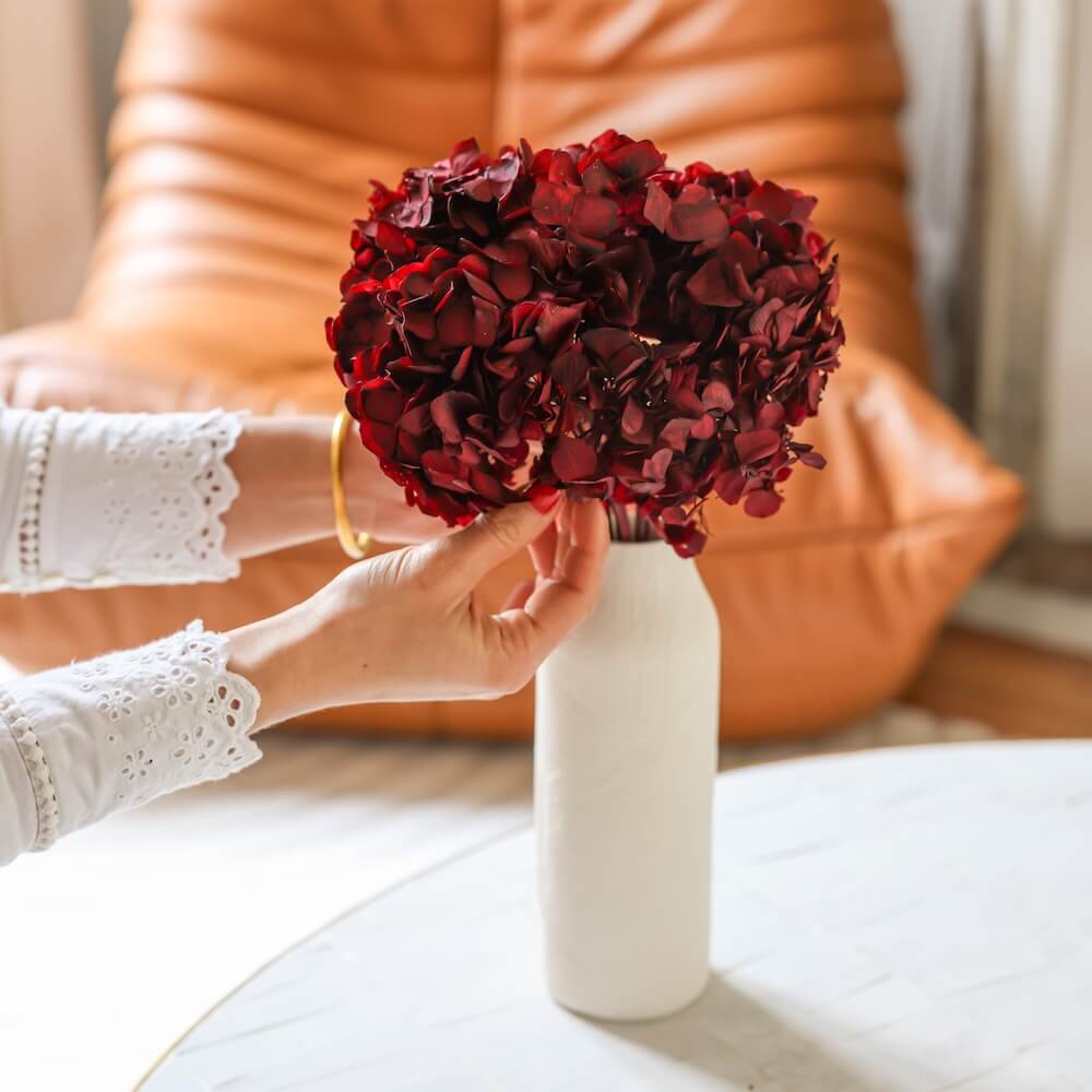 Hortensia Bordeaux