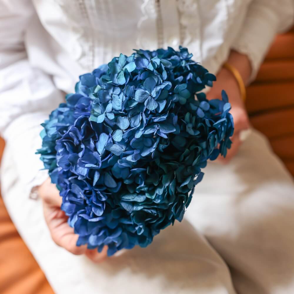 Hortensia Bleu