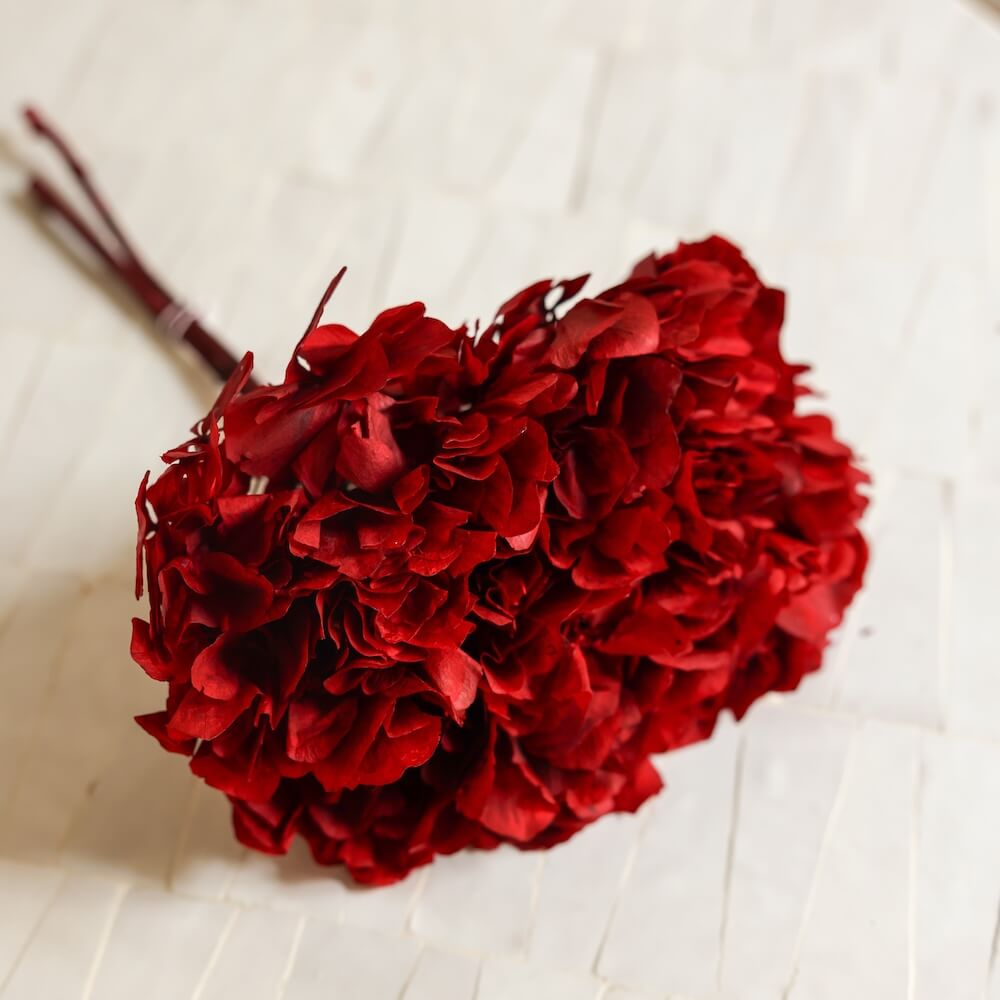 Hortensia Rouge