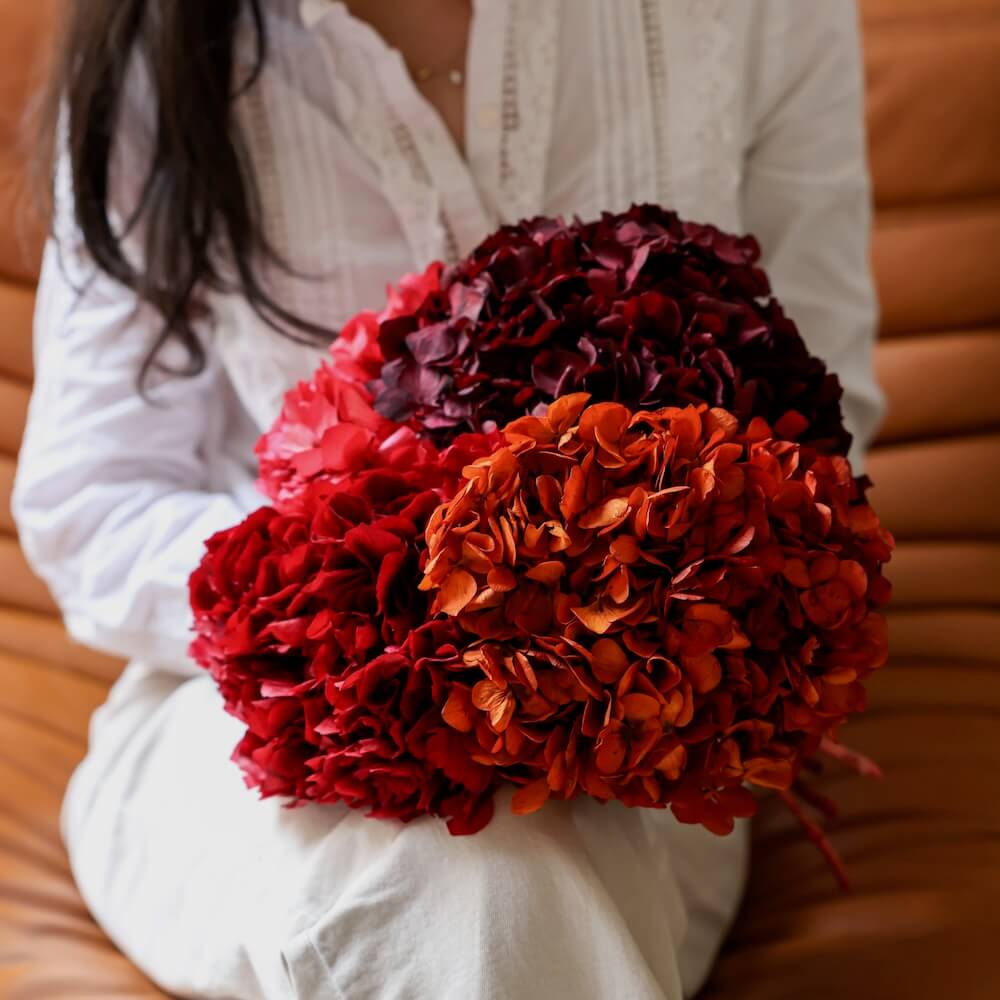Hortensia Rouge