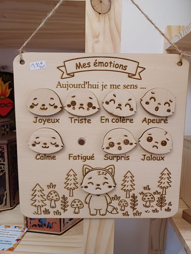 Gestion emotions renard garçon