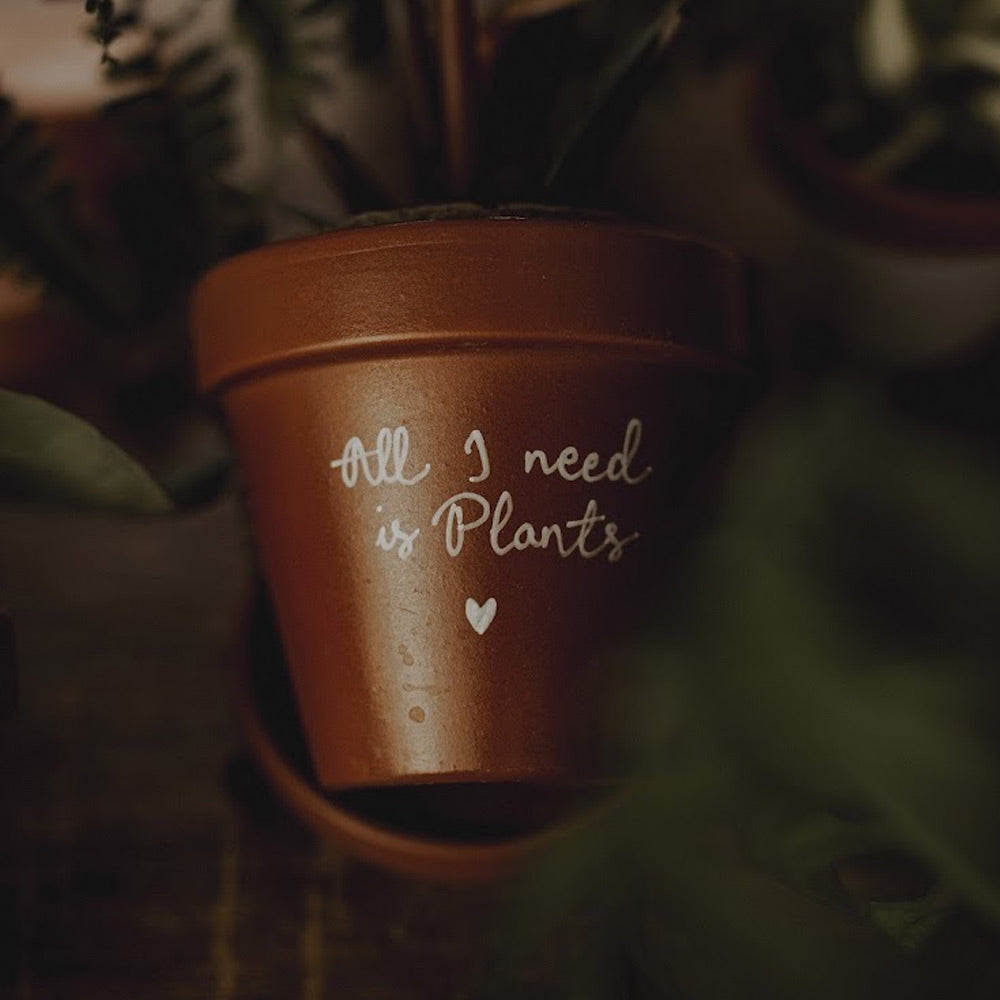 Pot de Fleur Personnalisé – Cache-Pot Terracotta