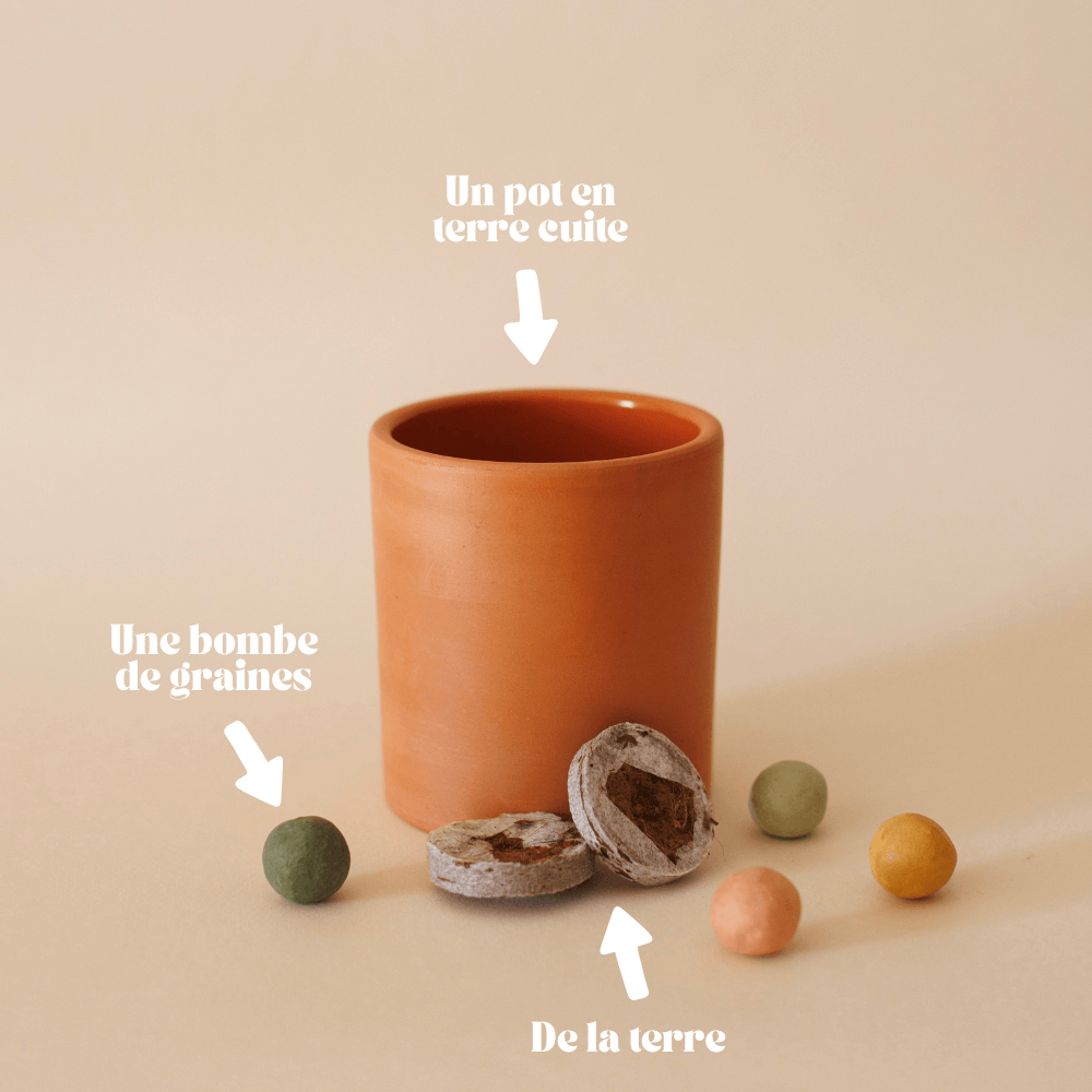 Kit à planter