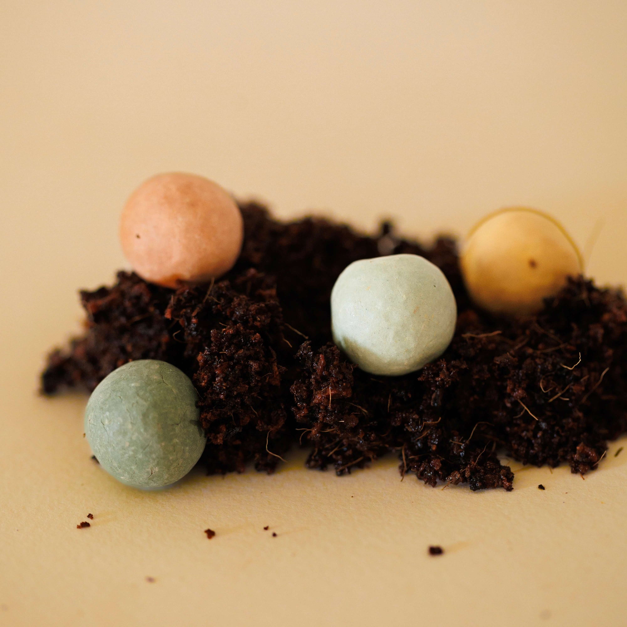 Kit à planter