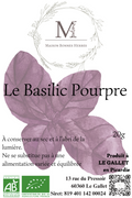 BASILIC POURPRE