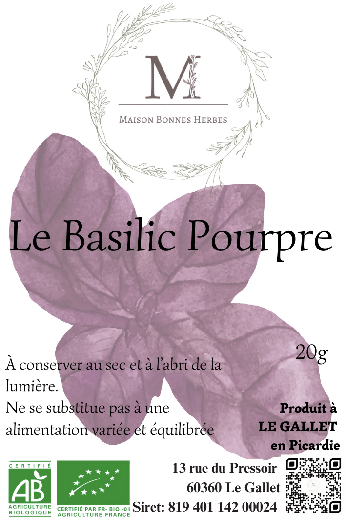 BASILIC POURPRE
