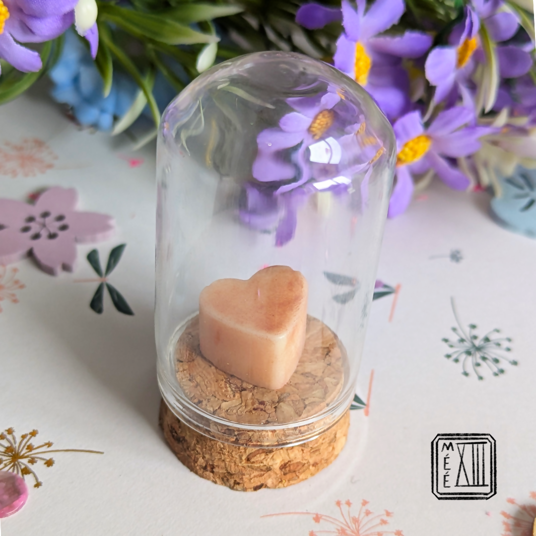 Potion magique Cupcake