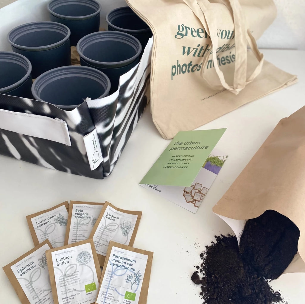 Kit potager mobile avec Aneth, Basilic, Moutarde, Persil, Coriandre, Basilic Thai