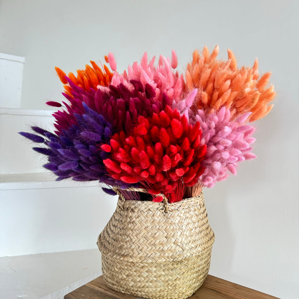 Botte Lagurus Orange foncé