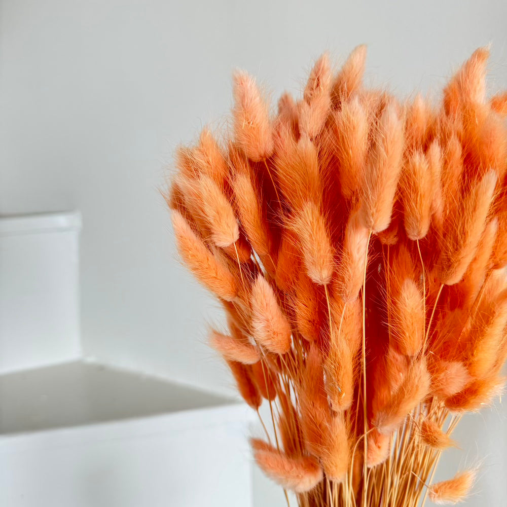 Botte Lagurus Pêche