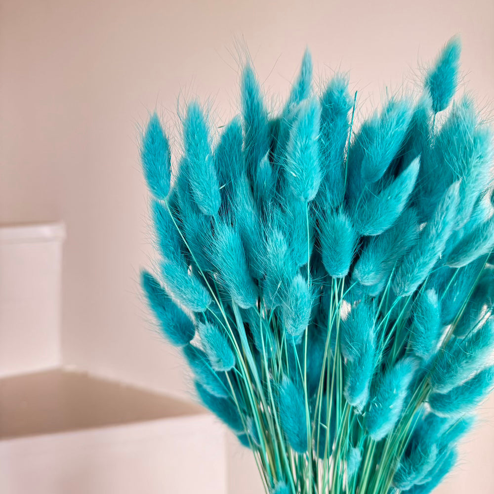 Botte Lagurus Turquoise