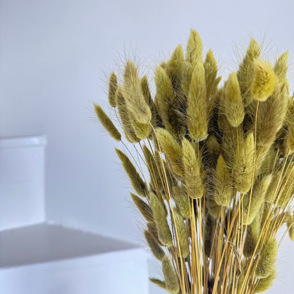 Botte Lagurus Vert olive