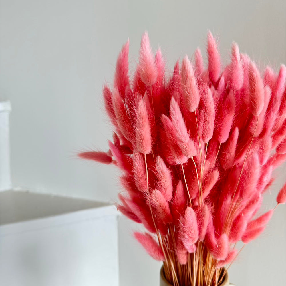 Botte Lagurus Vieux rose